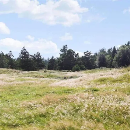 6 Person In Bedsted Thy-by Traum *