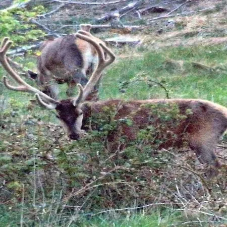 Сasa de vacaciones 6 Person In Bedsted Thy-by Traum