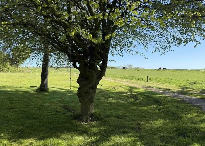 Дом отдыха 6 Person In Bedsted Thy-by Traum Bedsted Thy